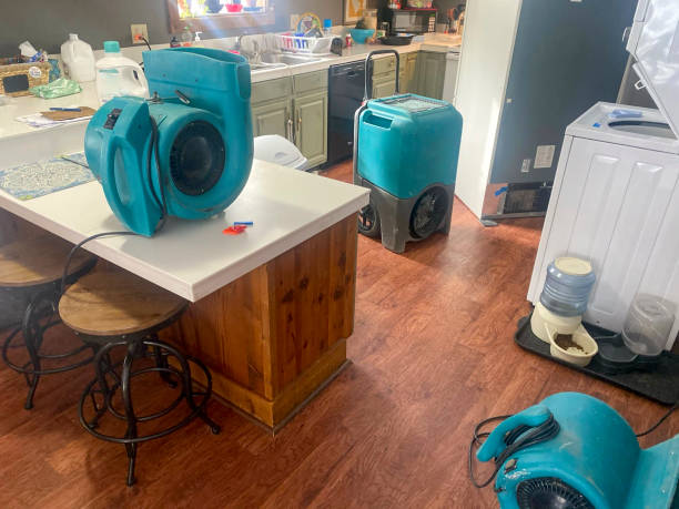 Carpet water damage restoration in Montgomery, OH