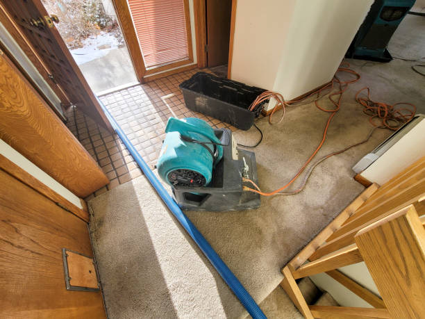 Best Carpet water damage restoration  in Montgomery, OH