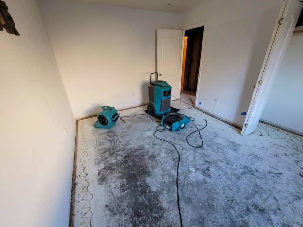 Best 24/7 water damage repair  in Montgomery, OH