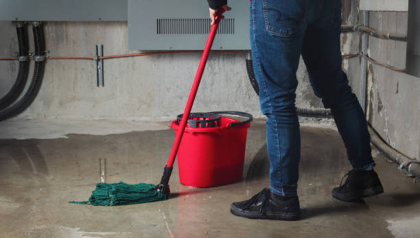 Best Flooded house restoration  in Montgomery, OH