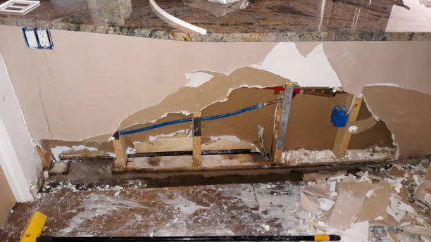 Best Ceiling water damage repair  in Montgomery, OH