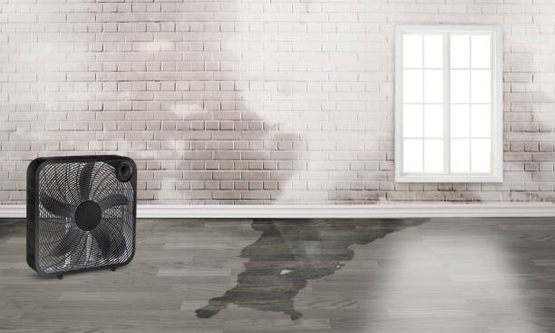 Best 24-hour water damage restoration  in Montgomery, OH