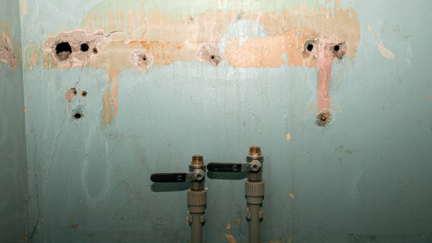 Best Water damage contractors near me  in Montgomery, OH