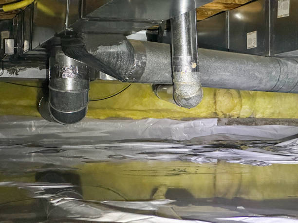 Best Carpet water damage restoration  in Montgomery, OH