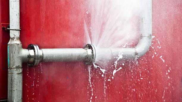 Best Flood damage cleanup  in Montgomery, OH